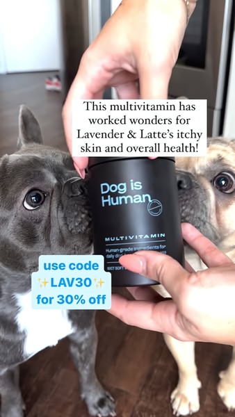 A close-up, first-person perspective showing a hand holding a pet multivitamin bottle flanked by two French bulldogs to provide authentic social proof.